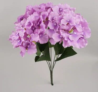 Hydrangea Bunch x5 New Open